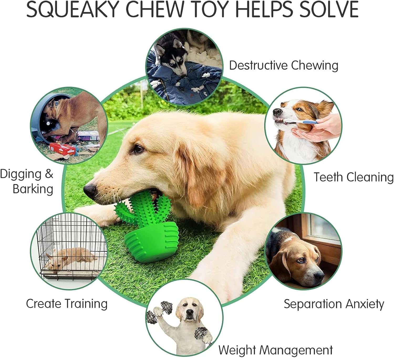 HETOO Indestructible Dog Chew Toys for Aggressive Chewers: Tough Durable Dog Squeaky Toys Dog Toothbrush for Teeth Cleaning, Gifts for Dogs (Cactus)