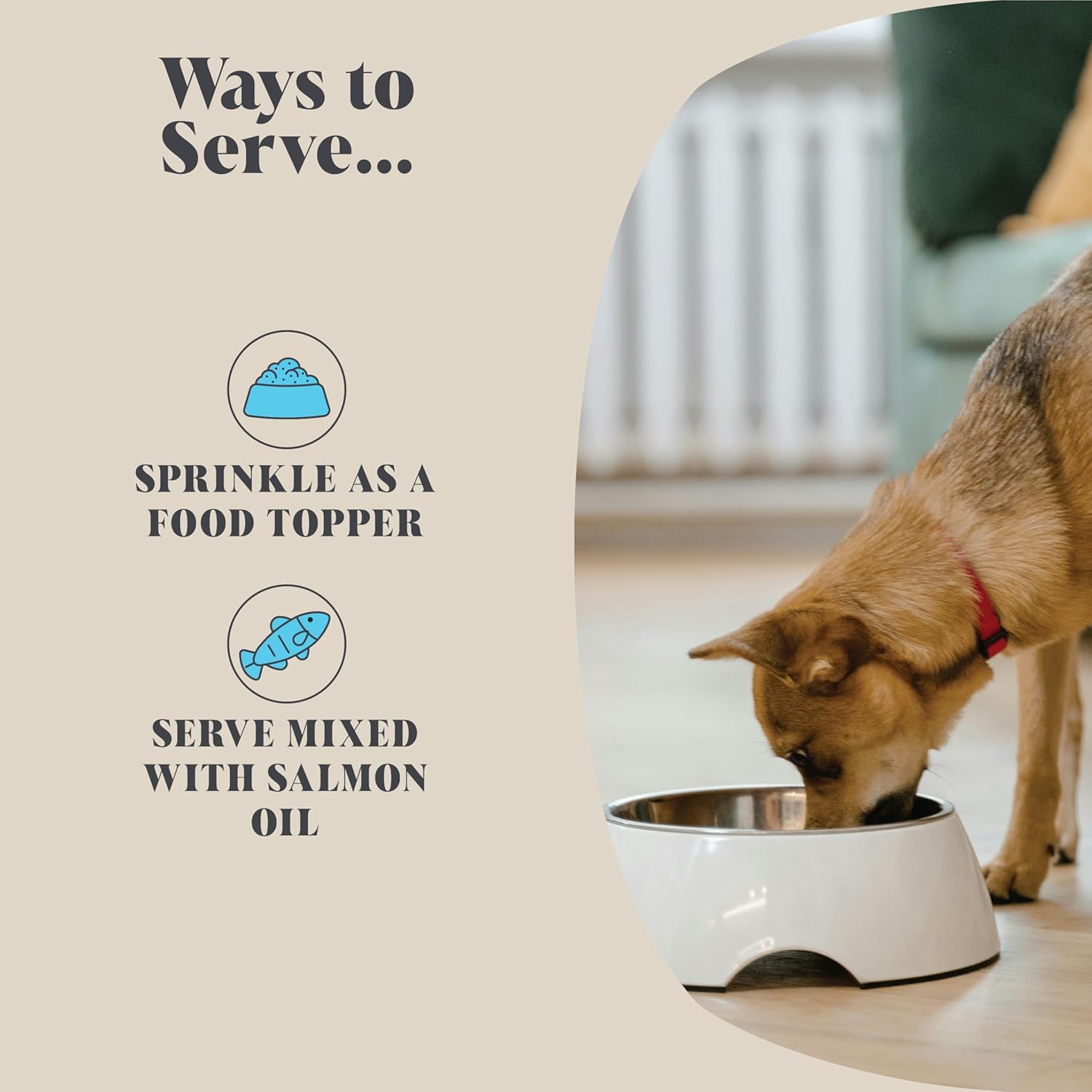 Plaque Off Seaweed Powder for Dogs (150 grams) | Natural Kelp | Plaque & Tartar Remover for Dogs | Naturally Freshens Breath | Dental Powder | Fights Teeth & Gum Disease | 120 Servings