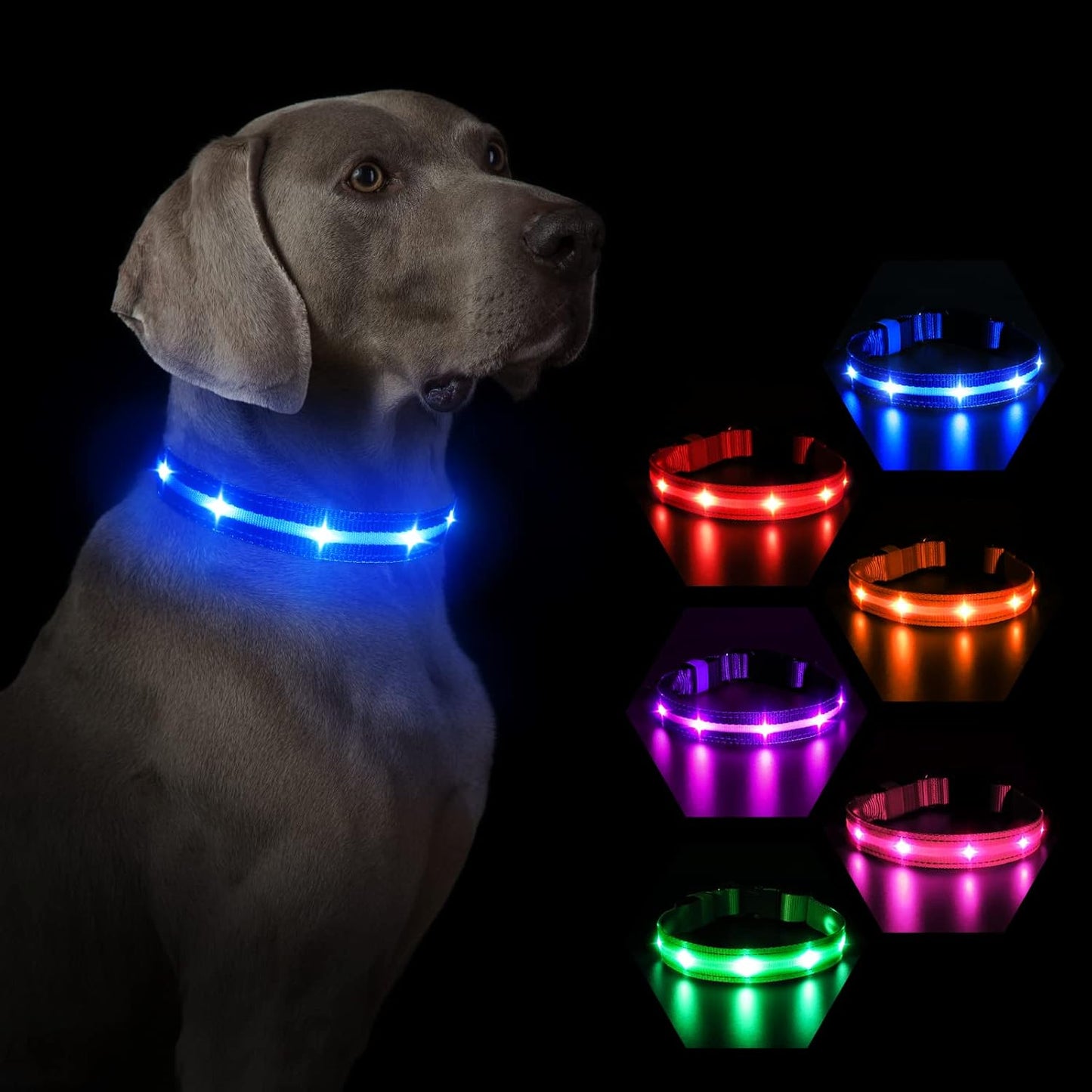 MASBRILL Luminous Dog Collar, LED Rechargeable and Waterproof Dog Collar, 3 Glowing Modes and Adjustable Size Suitable for Small Large Dogs (Blue, M)