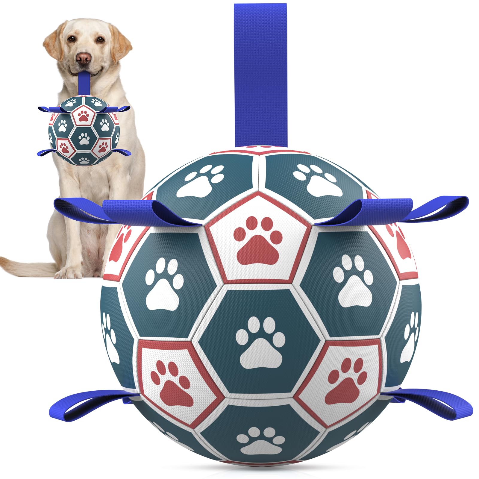 HETOO Dog Ball Toy Dog Football: Interactive Dog Balls with Webbing, Durable High Bounce Floating Dog Toys Balls for Dog Birthday Gifts Indoor & Outdoor Purple Blue Medium (6 Inch)