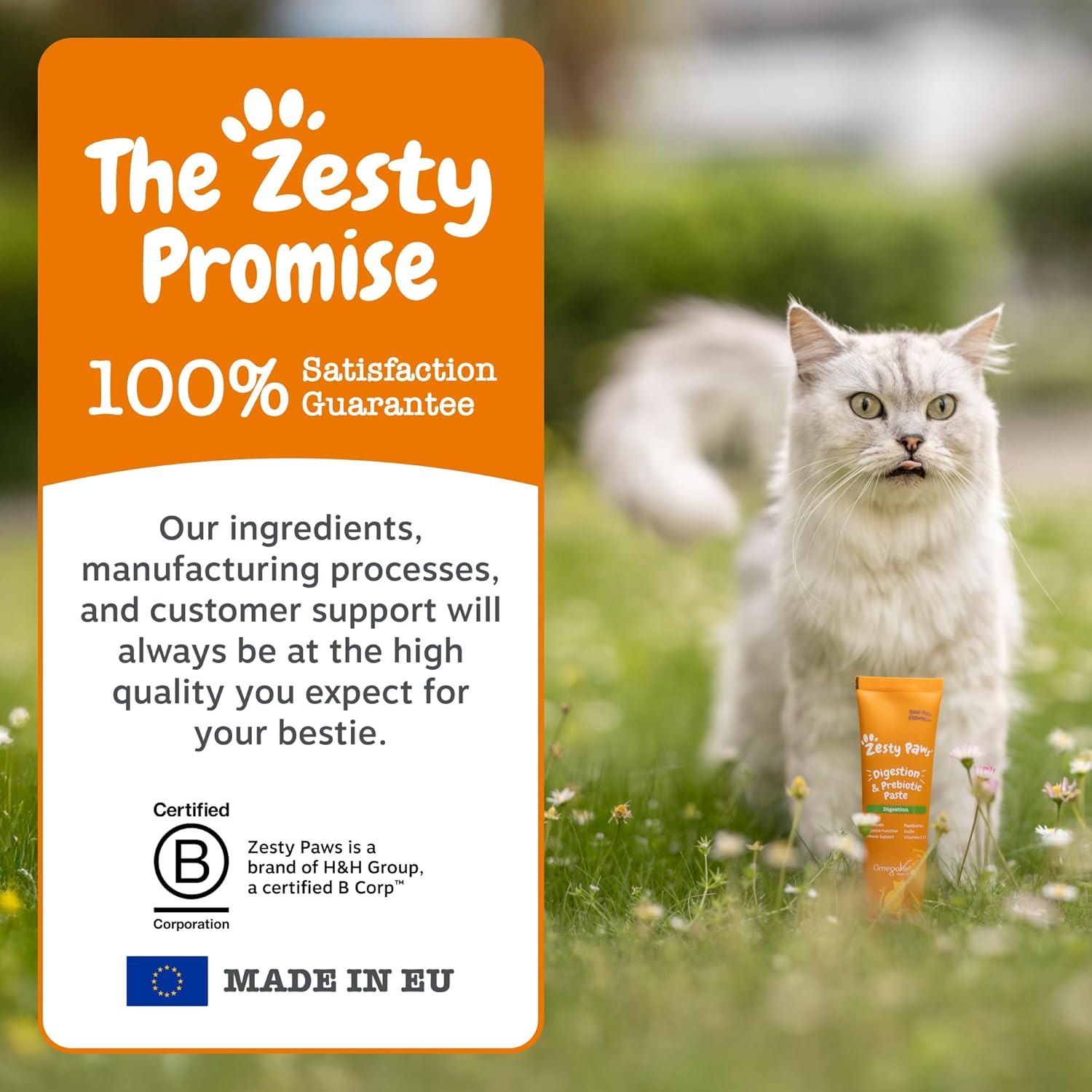 Zesty Paws Calming Paste for Cats | Supports Calmness, Composure and Relaxation | Contains Vitamin B1, Lactium, L-Theanine from Green Tea Extract, L-Tryptophan | Real Fish Flavour | 75g
