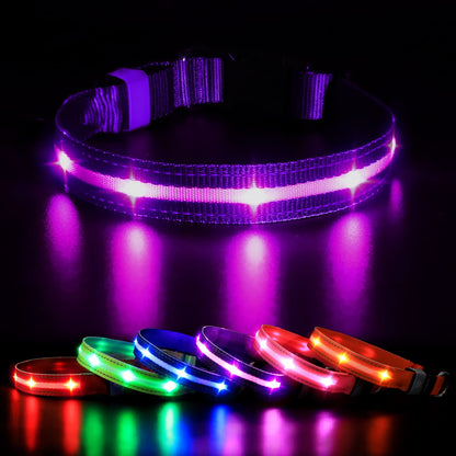 MASBRILL Luminous Dog Collar, LED Rechargeable and Waterproof Dog Collar, 3 Glowing Modes and Adjustable Size Suitable for Small Large Dogs (Blue, M)