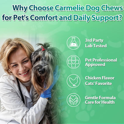 Carmelie Flea and Tick Chewables for Dogs - 200 Soft Chews Natural Dog Flea and Tick Prevention Chews - Oral Flea Supplement for Dogs, Puppy Flea Prevention - Chicken Flavor