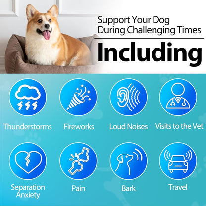 Carmelie Calming Treats for Dogs - 200 Count Calming Dog Treats -Alternative Calming Chews for Dog Reduce Stress, Fear, Separation Anxiety - Natural Valerian Root, L-Tryptophan - Chicken Flavor