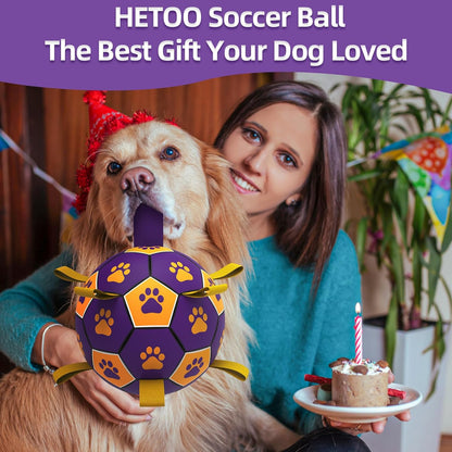 HETOO Interactive Dog Football Toys with Webbing, Durable Dog Balls for Small Medium Large Breed Dog Water Toy Indoor & Outdoor, Gift for Dogs (8 Inch)