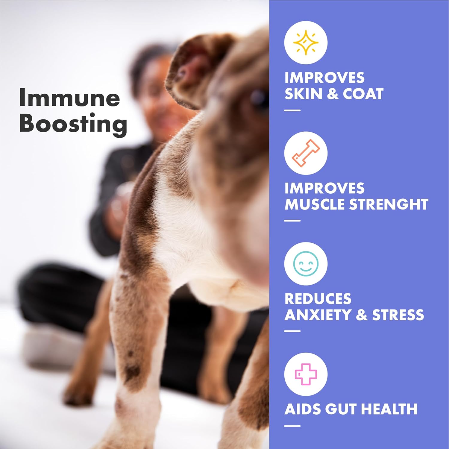Dog Multivitamin Gummies (30 Pack) - Plasma Superfood Dog Supplements - Vet Endorsed Daily Vitamins Chew for Immunity, Gut Health & Vitality - With Collagen for Skin, Coat & Joints