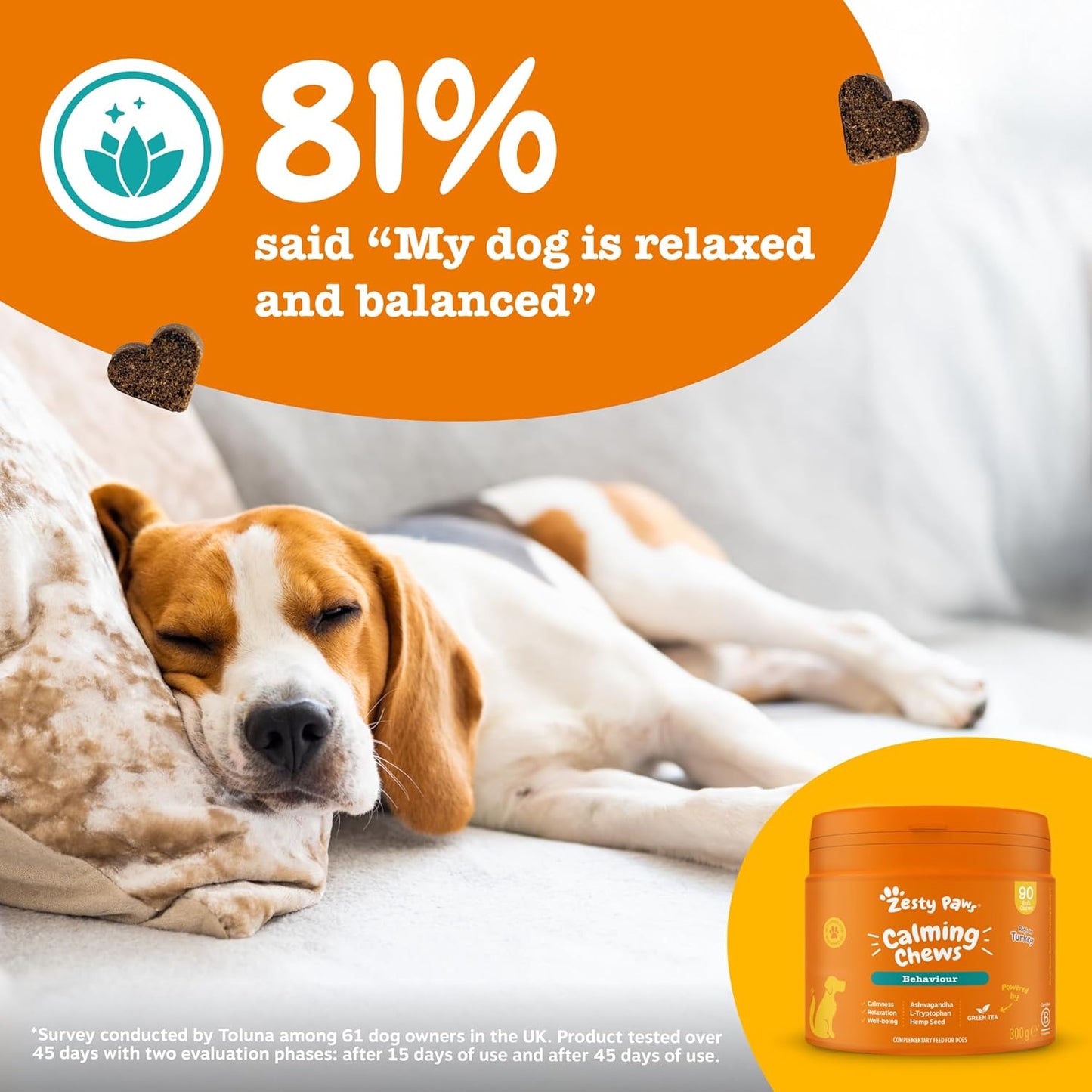 Zesty Paws Calming Treats for Dogs | Helps with Separation Anxiety, Stress & Hyperactivity, Supports Wellbeing & Relaxation | Contains Green Tea, Ashwagandha, L-Tryptophan | Daily Use | 90 Chews