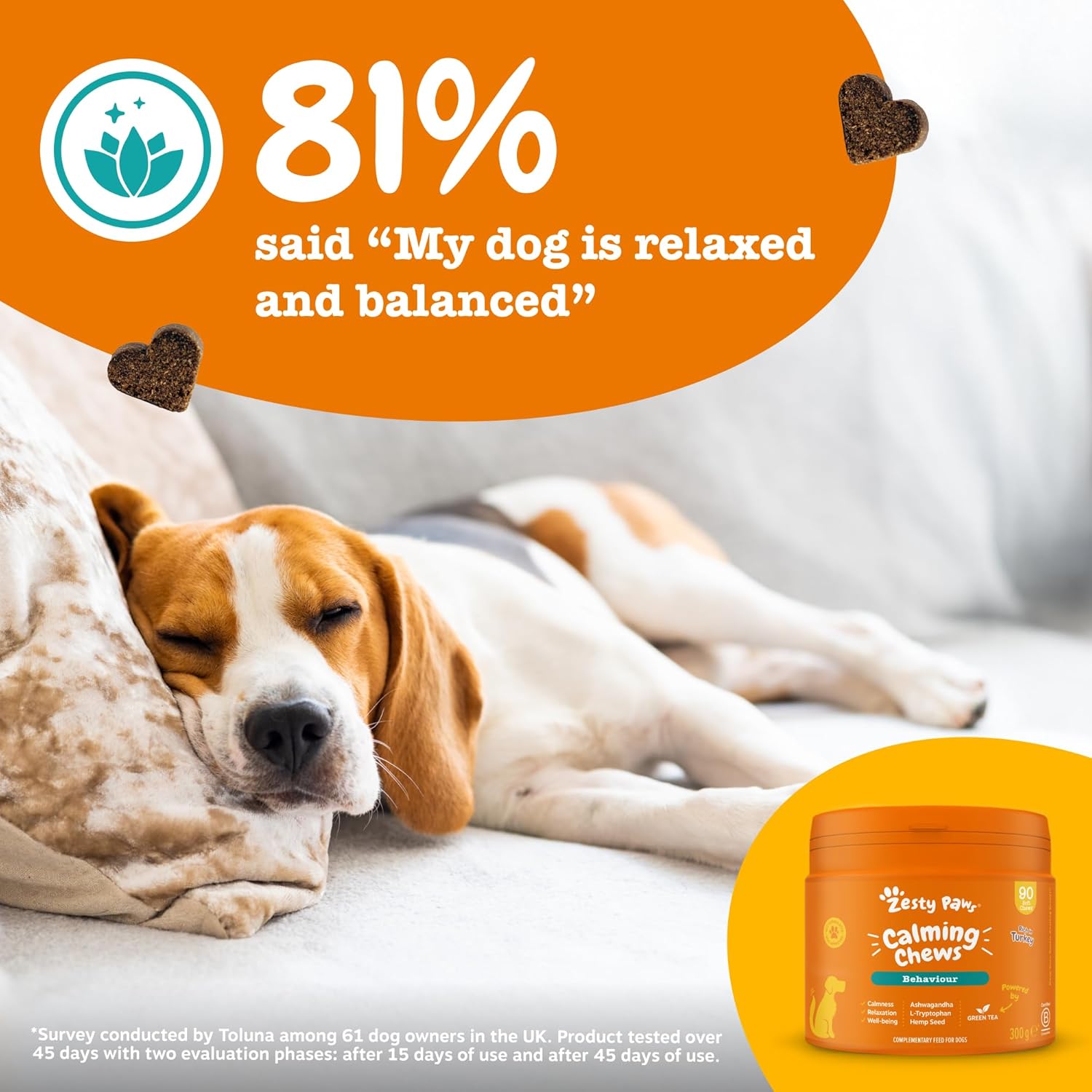 Zesty Paws Calming Treats for Dogs | Helps with Separation Anxiety, Stress & Hyperactivity, Supports Wellbeing & Relaxation | Contains Green Tea, Ashwagandha, L-Tryptophan | Daily Use | 90 Chews