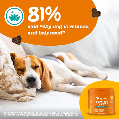 Zesty Paws Calming Treats for Dogs | Helps with Separation Anxiety, Stress & Hyperactivity, Supports Wellbeing & Relaxation | Contains Green Tea, Ashwagandha, L-Tryptophan | Daily Use | 90 Chews