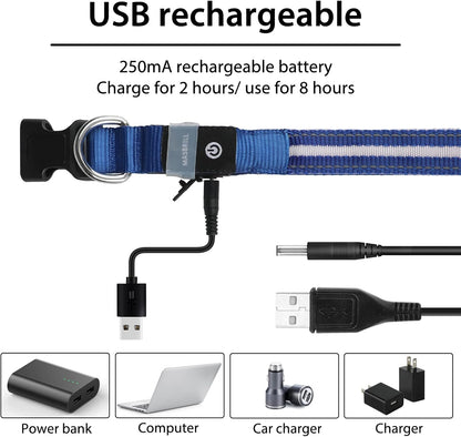 MASBRILL Luminous Dog Collar, LED Rechargeable and Waterproof Dog Collar, 3 Glowing Modes and Adjustable Size Suitable for Small Large Dogs (Blue, M)
