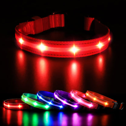 MASBRILL Luminous Dog Collar, LED Rechargeable and Waterproof Dog Collar, 3 Glowing Modes and Adjustable Size Suitable for Small Large Dogs (Blue, M)