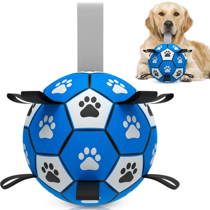 HETOO Interactive Dog Football Toys with Webbing, Durable Dog Balls for Small Medium Large Breed Dog Water Toy Indoor & Outdoor, Gift for Dogs (8 Inch)