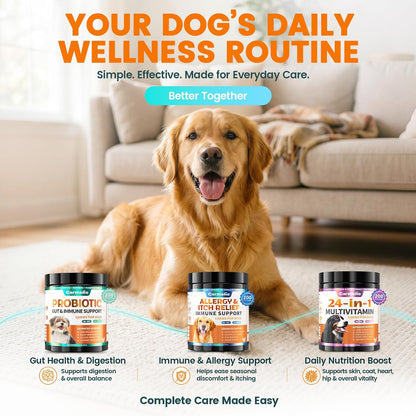Carmelie Probiotics for Dogs, 200 Soft Chews Digestive Probiotics & Enzymes for Gut Health with Pumpkin, Fibre for Dogs Anti Diarrhea, Upset Stomach, Gas Relief, Itchy Skin & Immune Support (Chicken)