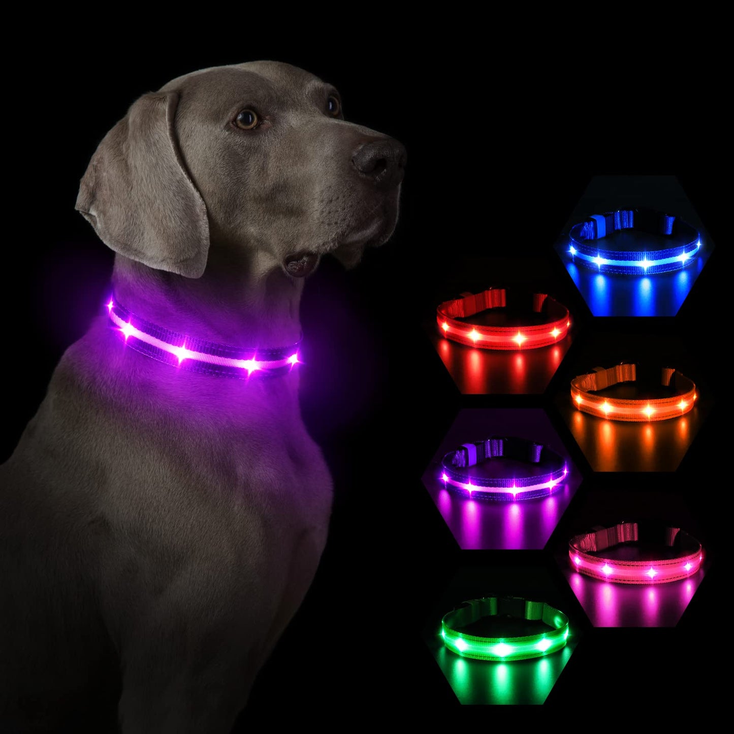 MASBRILL Luminous Dog Collar, LED Rechargeable and Waterproof Dog Collar, 3 Glowing Modes and Adjustable Size Suitable for Small Large Dogs (Blue, M)