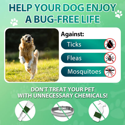 Carmelie Flea and Tick Chewables for Dogs - 200 Soft Chews Natural Dog Flea and Tick Prevention Chews - Oral Flea Supplement for Dogs, Puppy Flea Prevention - Chicken Flavor
