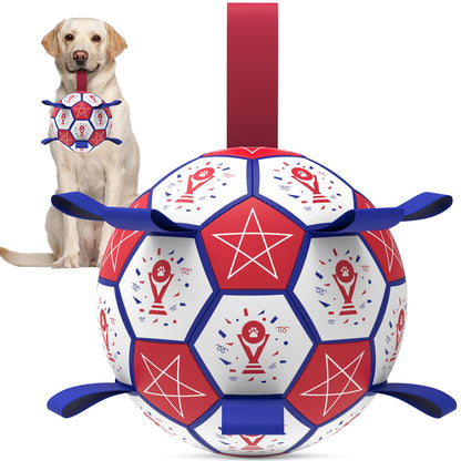 HETOO Dog Ball Toy Dog Football: Interactive Dog Balls with Webbing, Durable High Bounce Floating Dog Toys Balls for Dog Birthday Gifts Indoor & Outdoor Purple Blue Medium (6 Inch)