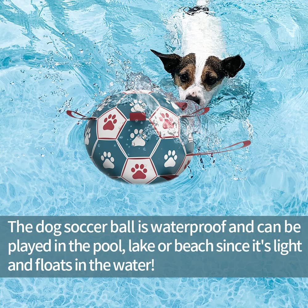 HETOO Dog Soccer Ball, Interactive Dog Toys for Tug of War, Water Toy, Durable Balls for Small & Medium Blue Red (6 inch)