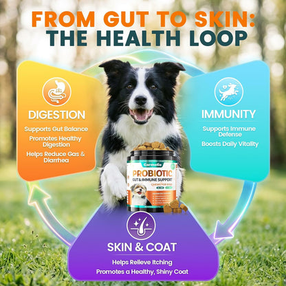 Carmelie Probiotics for Dogs, 200 Soft Chews Digestive Probiotics & Enzymes for Gut Health with Pumpkin, Fibre for Dogs Anti Diarrhea, Upset Stomach, Gas Relief, Itchy Skin & Immune Support (Chicken)