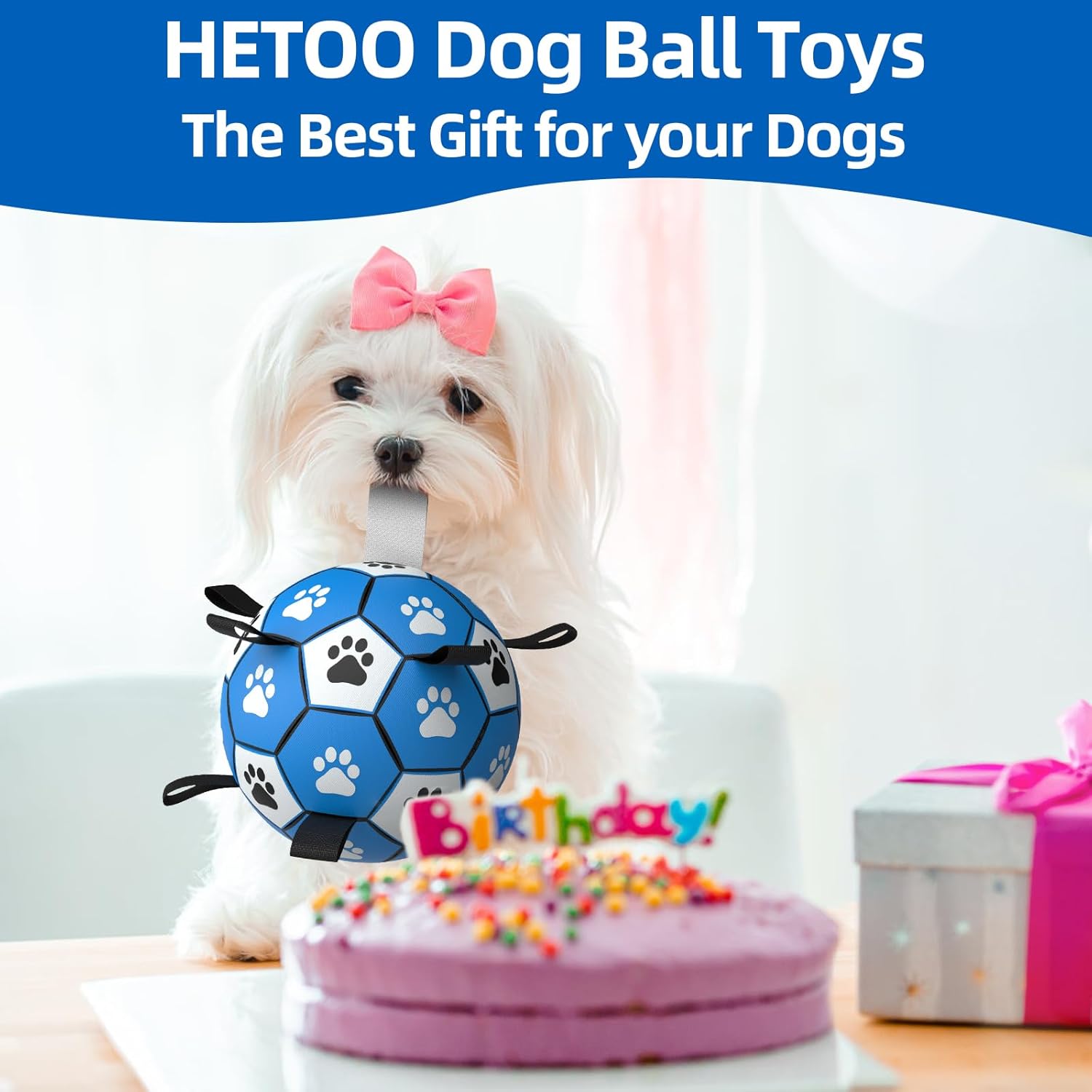 HETOO Interactive Dog Football Toys with Webbing, Durable Dog Water Balls for Small Medium Breed, Indoor & Outdoor Blue Gray (6 Inch)