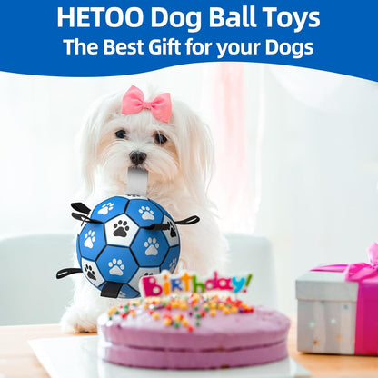 HETOO Interactive Dog Football Toys with Webbing, Durable Dog Water Balls for Small Medium Breed, Indoor & Outdoor Blue Gray (6 Inch)