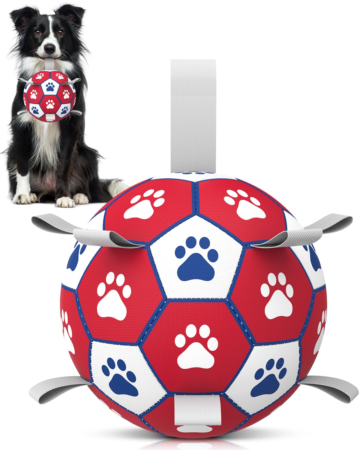 HETOO Interactive Dog Football Toys with Webbing, Durable Dog Balls for Small Medium Large Breed Dog Water Toy Indoor & Outdoor, Gift for Dogs (8 Inch)