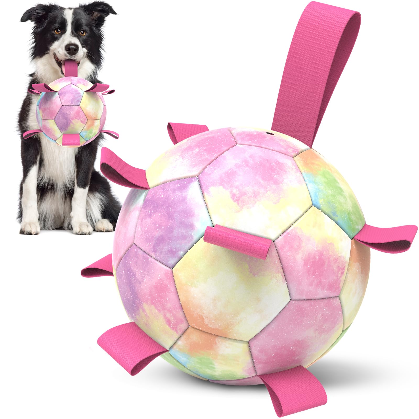 HETOO Interactive Dog Football Toys with Webbing, Durable Dog Balls for Small Medium Large Breed Dog Water Toy Indoor & Outdoor, Gift for Dogs (8 Inch)