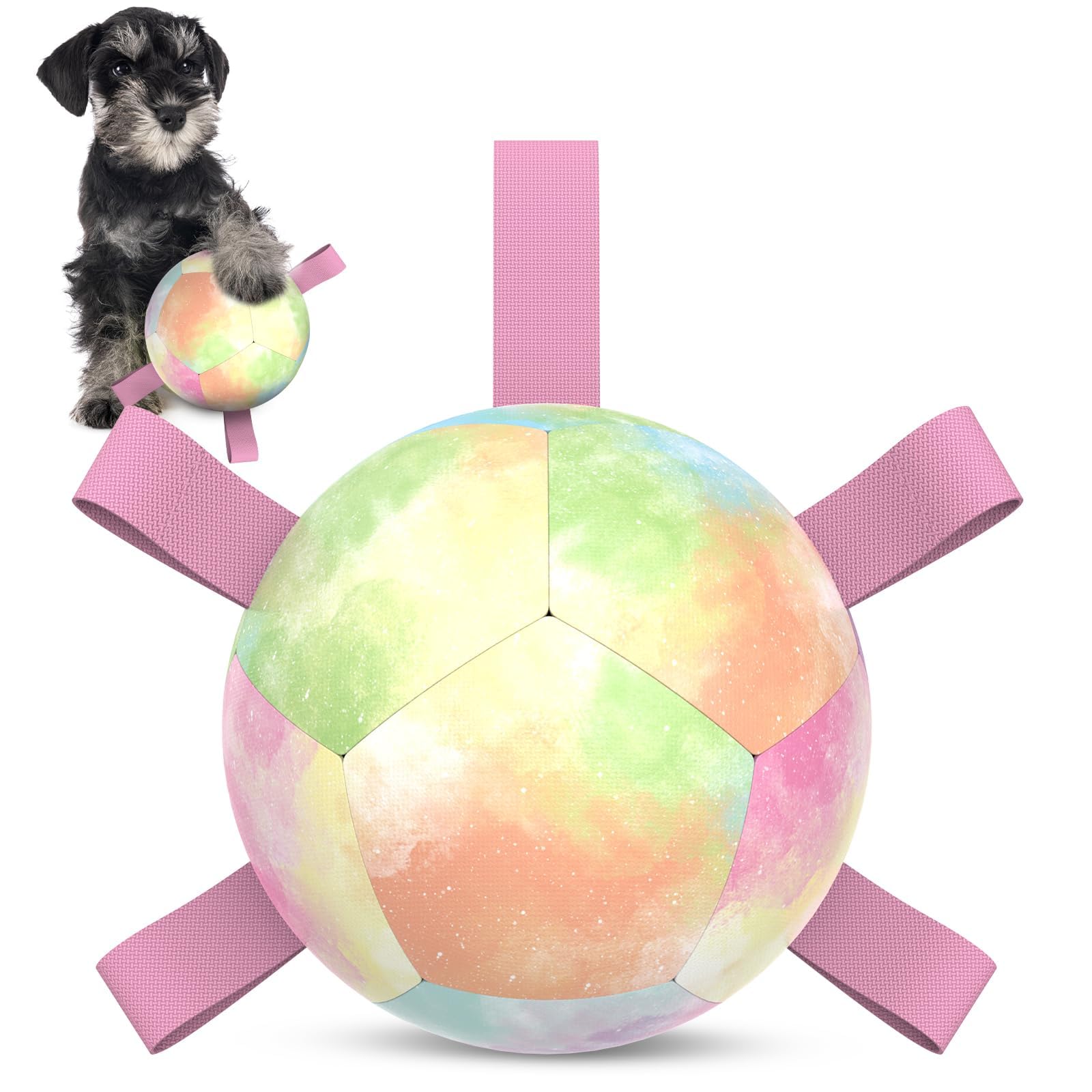HETOO Dog Balls, Dog Football Toys with Webbing, Interactive Dog Ball Toys for Touring, Durable High Bounce Floating Dog Toy Balls for Dog Birthday Gifts Indoor & Outdoor Medium (6 Inch)