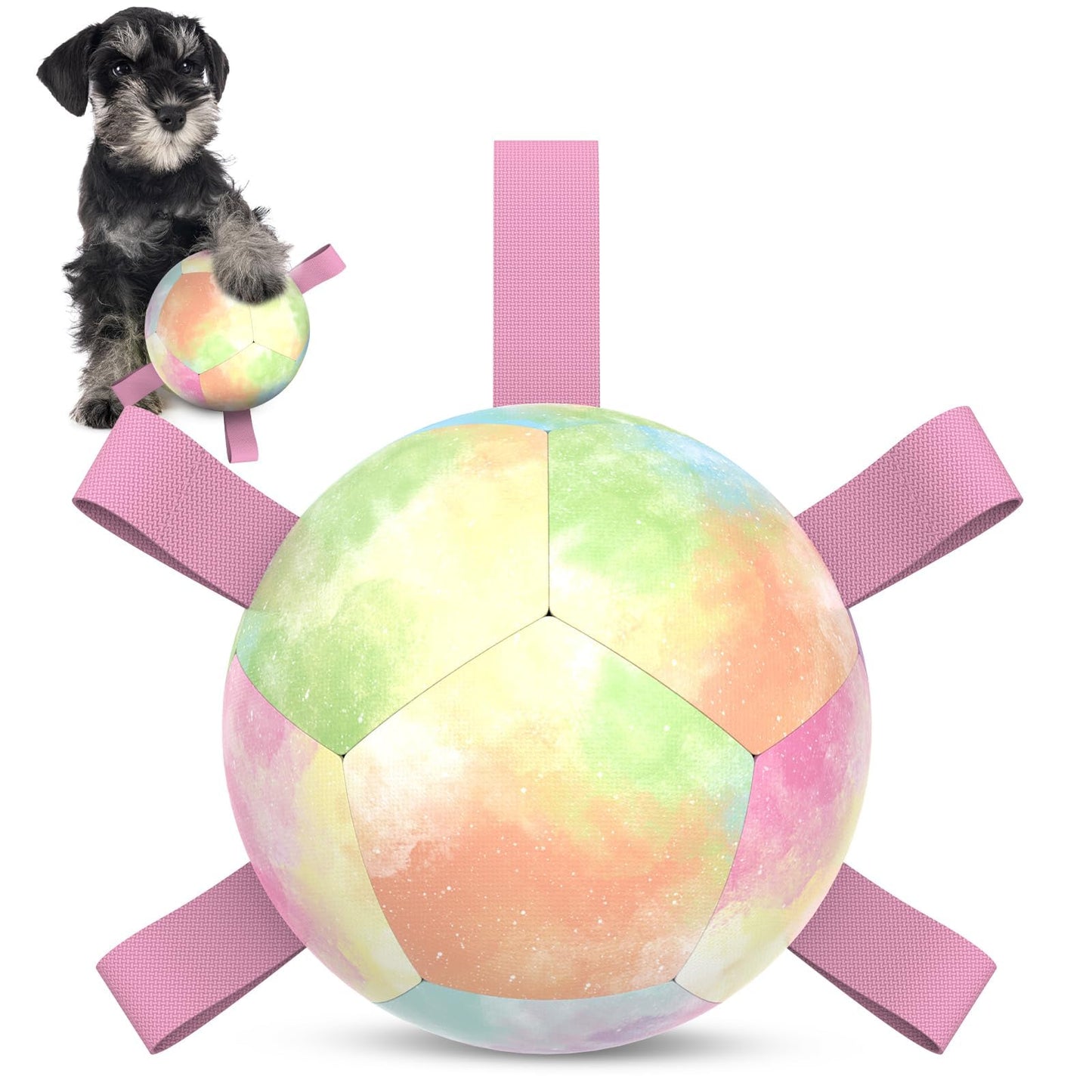 HETOO Interactive Dog Football Toys with Webbing, Durable Dog Balls for Small Medium Large Breed Dog Water Toy Indoor & Outdoor, Gift for Dogs (8 Inch)