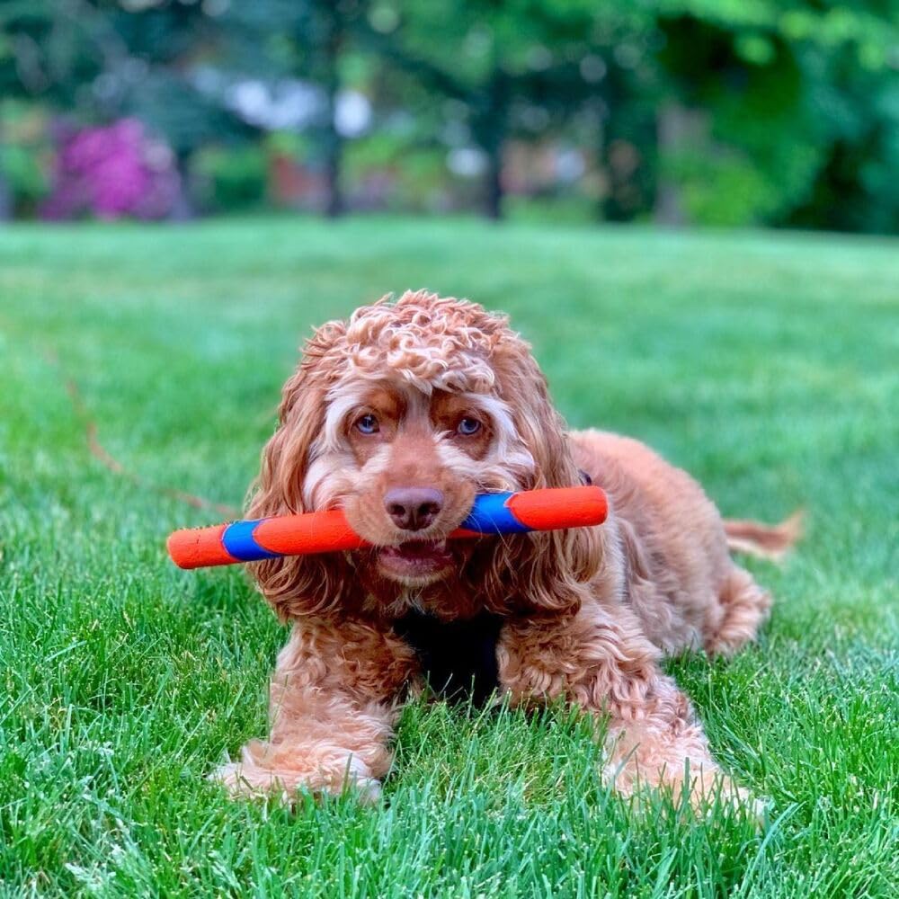 Chuckit! Ultra Fetch Stick Rubber Dog Toy For Interactive Play, Multi