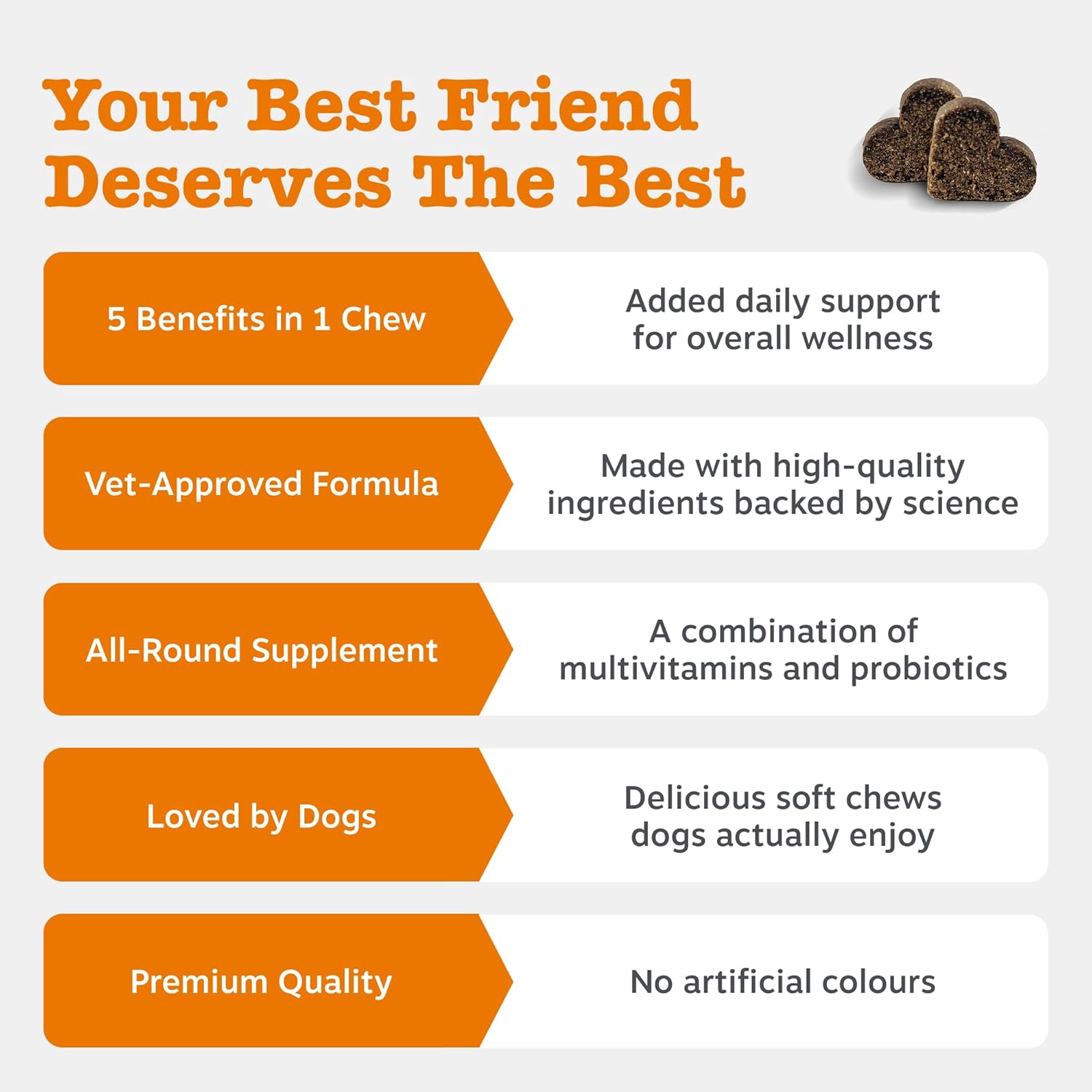 Zesty Paws 5in1 Multivitamins for Dogs | Supports Skin & Gut Health, Brain Function, Immune System, Physical Performance | With Vitamin A, B & C, Folic Acid, Biotin, L-Carnitine | Daily Use | 90 Chews