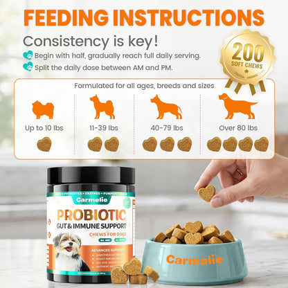 Carmelie Probiotics for Dogs, 200 Soft Chews Digestive Probiotics & Enzymes for Gut Health with Pumpkin, Fibre for Dogs Anti Diarrhea, Upset Stomach, Gas Relief, Itchy Skin & Immune Support (Chicken)
