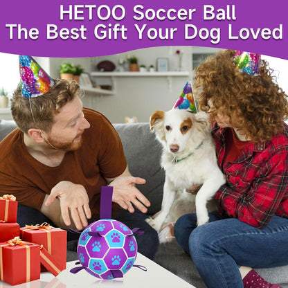 HETOO Dog Ball Toy Dog Football: Interactive Dog Balls with Webbing, Durable High Bounce Floating Dog Toys Balls for Dog Birthday Gifts Indoor & Outdoor Purple Blue Medium (6 Inch)