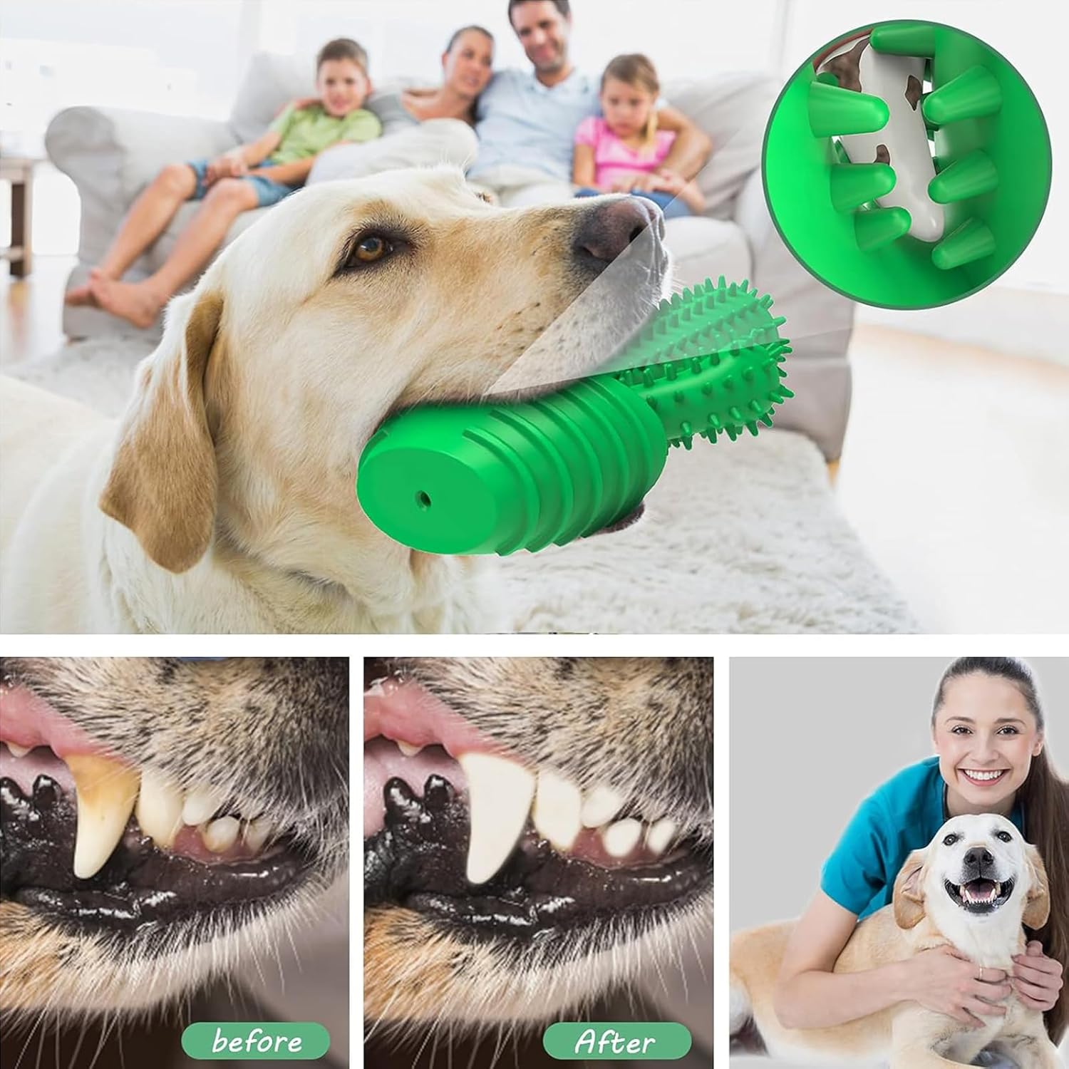 HETOO Indestructible Dog Chew Toys for Aggressive Chewers: Tough Durable Dog Squeaky Toys Dog Toothbrush for Teeth Cleaning, Gifts for Dogs (Cactus)