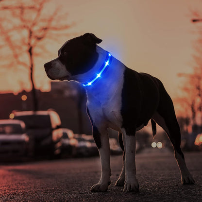 MASBRILL Luminous Dog Collar, LED Rechargeable and Waterproof Dog Collar, 3 Glowing Modes and Adjustable Size Suitable for Small Large Dogs (Blue, M)