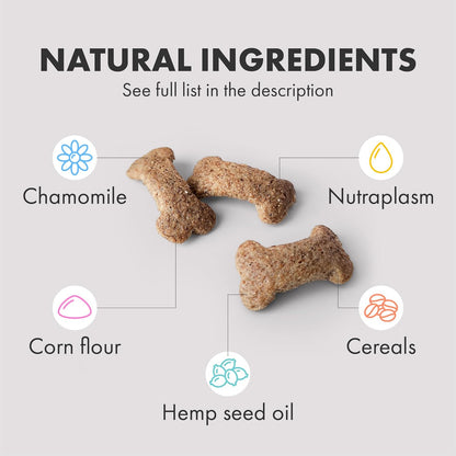 Multifit Mini Bones for Dogs (60 Pack) - Plasma Superfood Dog Supplements - Vet Endorsed Daily Dog Vitamins Biscuit for Immunity, Gut & Calm Behaviour - Collagen for Skin, Coat & Joints