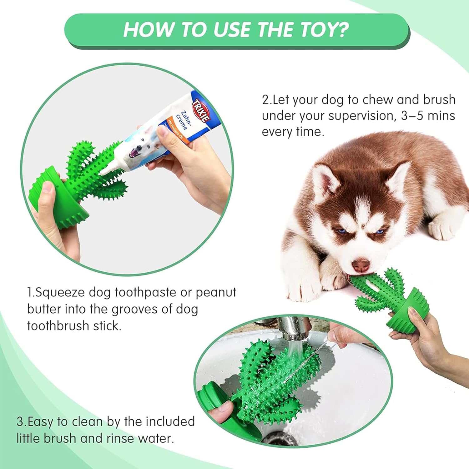HETOO Indestructible Dog Chew Toys for Aggressive Chewers: Tough Durable Dog Squeaky Toys Dog Toothbrush for Teeth Cleaning, Gifts for Dogs (Cactus)