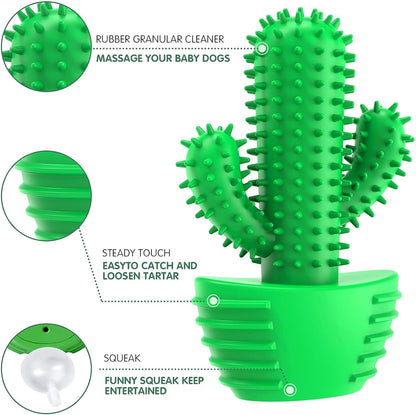 HETOO Indestructible Dog Chew Toys for Aggressive Chewers: Tough Durable Dog Squeaky Toys Dog Toothbrush for Teeth Cleaning, Gifts for Dogs (Cactus)