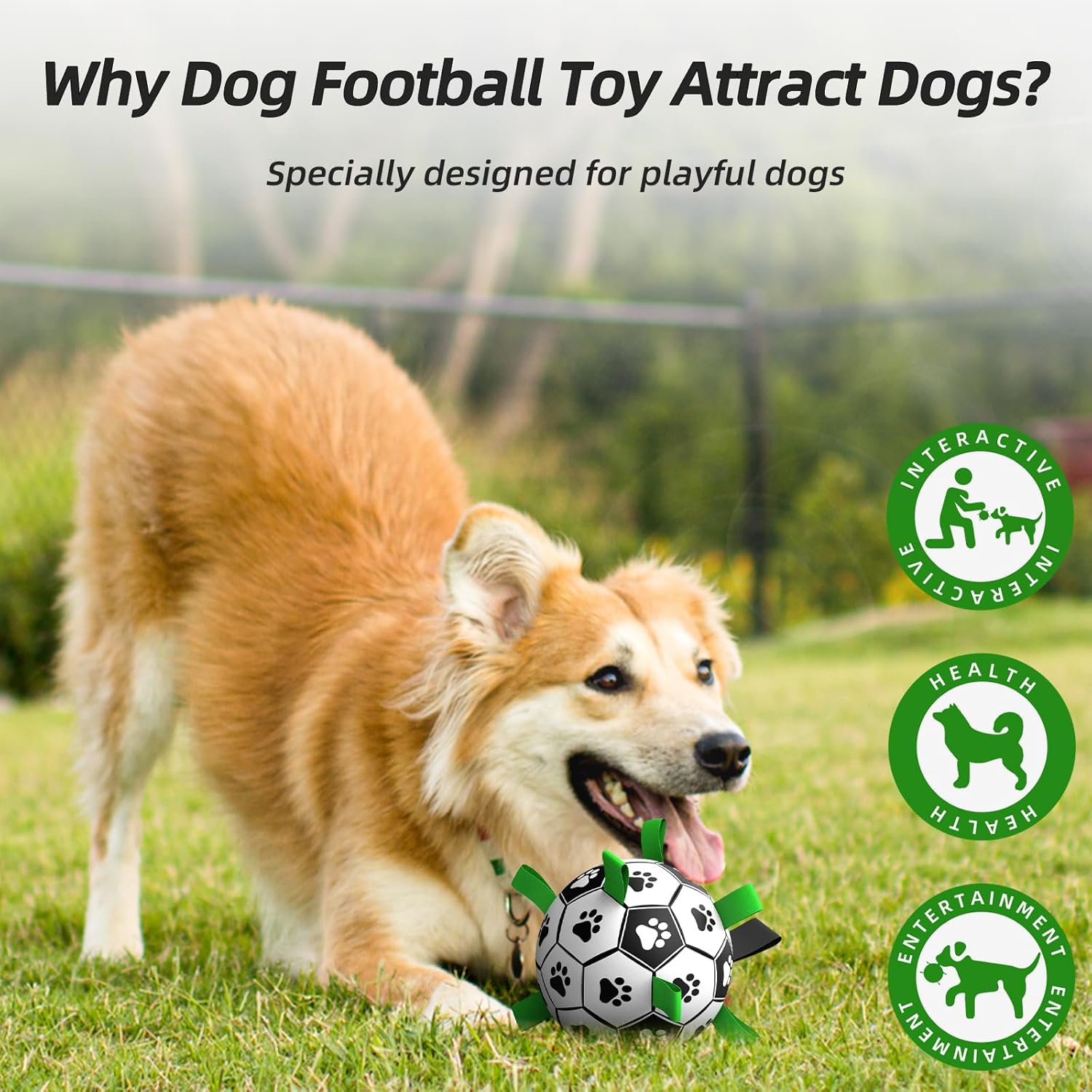 HETOO Dog Balls, Dog Football Toys with Webbing, Interactive Dog Ball Toys for Touring, Durable High Bounce Floating Dog Toy Balls for Dog Birthday Gifts Indoor & Outdoor Medium (6 Inch)