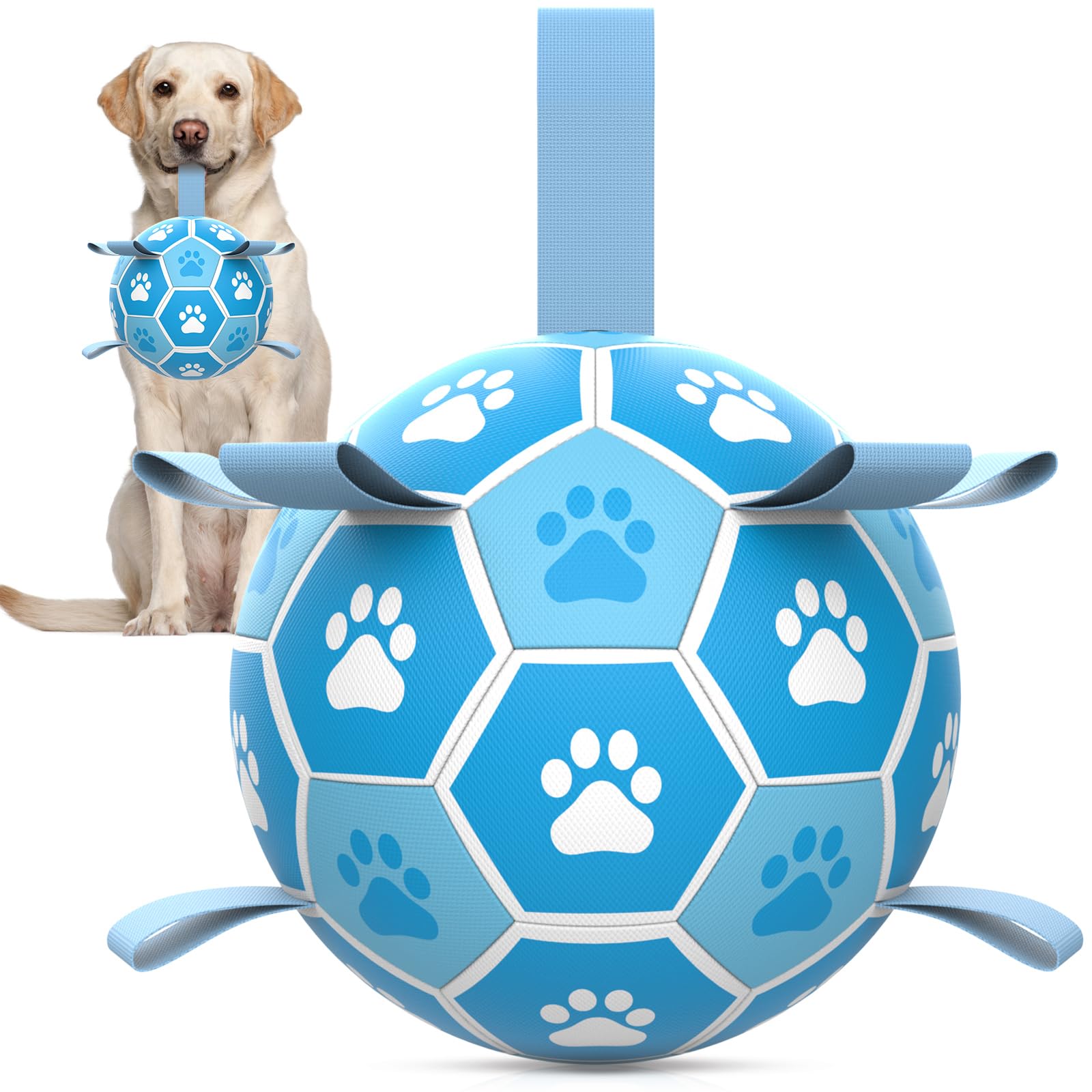HETOO Dog Ball Toy Dog Football: Interactive Dog Balls with Webbing, Durable High Bounce Floating Dog Toys Balls for Dog Birthday Gifts Indoor & Outdoor Purple Blue Medium (6 Inch)