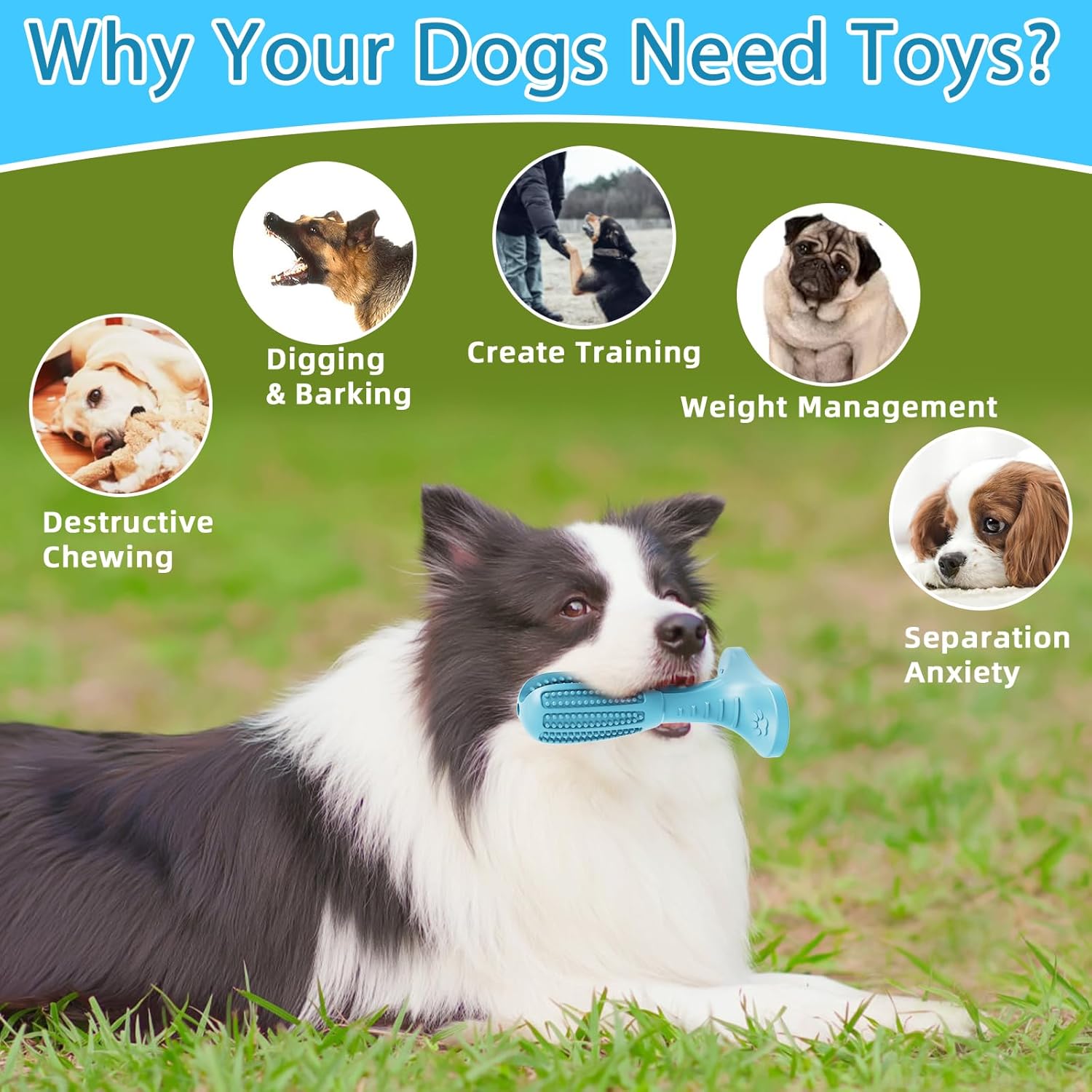 HETOO Dog Chew Toys, Dog Toothbrush Toys for Puppy Dental Care Teeth Cleaning, Natural Rubber Teeth Grinding Rod Gifts for Dogs (Blue)