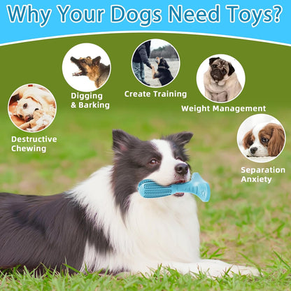 HETOO Dog Chew Toys, Dog Toothbrush Toys for Puppy Dental Care Teeth Cleaning, Natural Rubber Teeth Grinding Rod Gifts for Dogs (Blue)