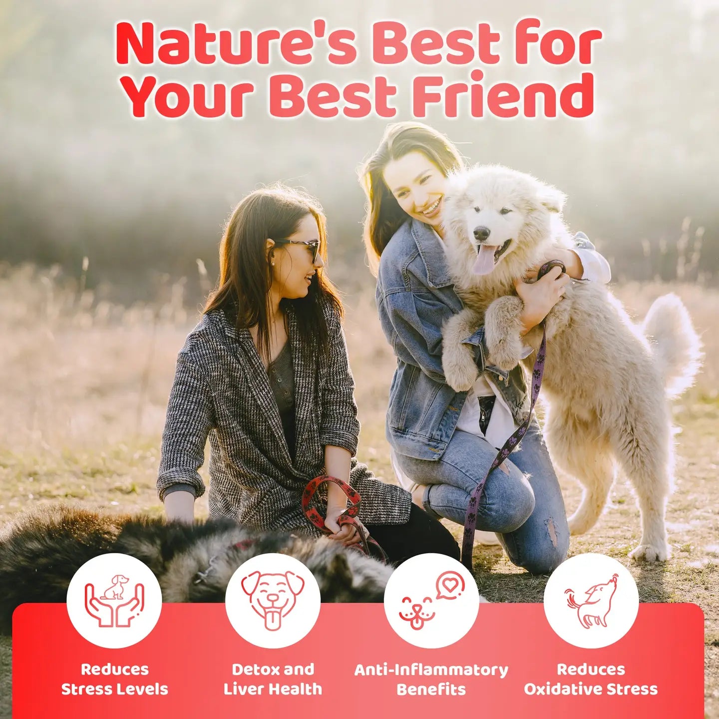 Liquid Multivitamin For Dogs