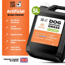 Artificial Grass Cleaner 5 Litres