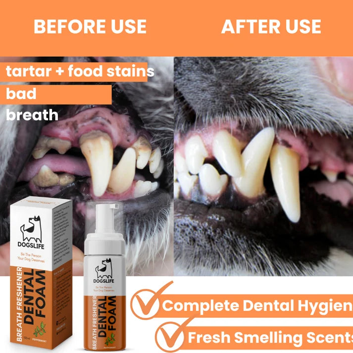Dental Foam For Dogs