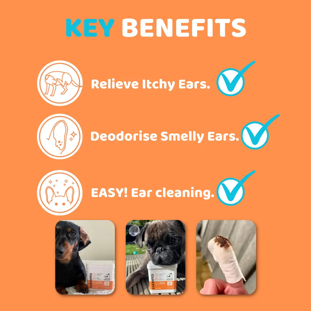 Dog Ear Wipes