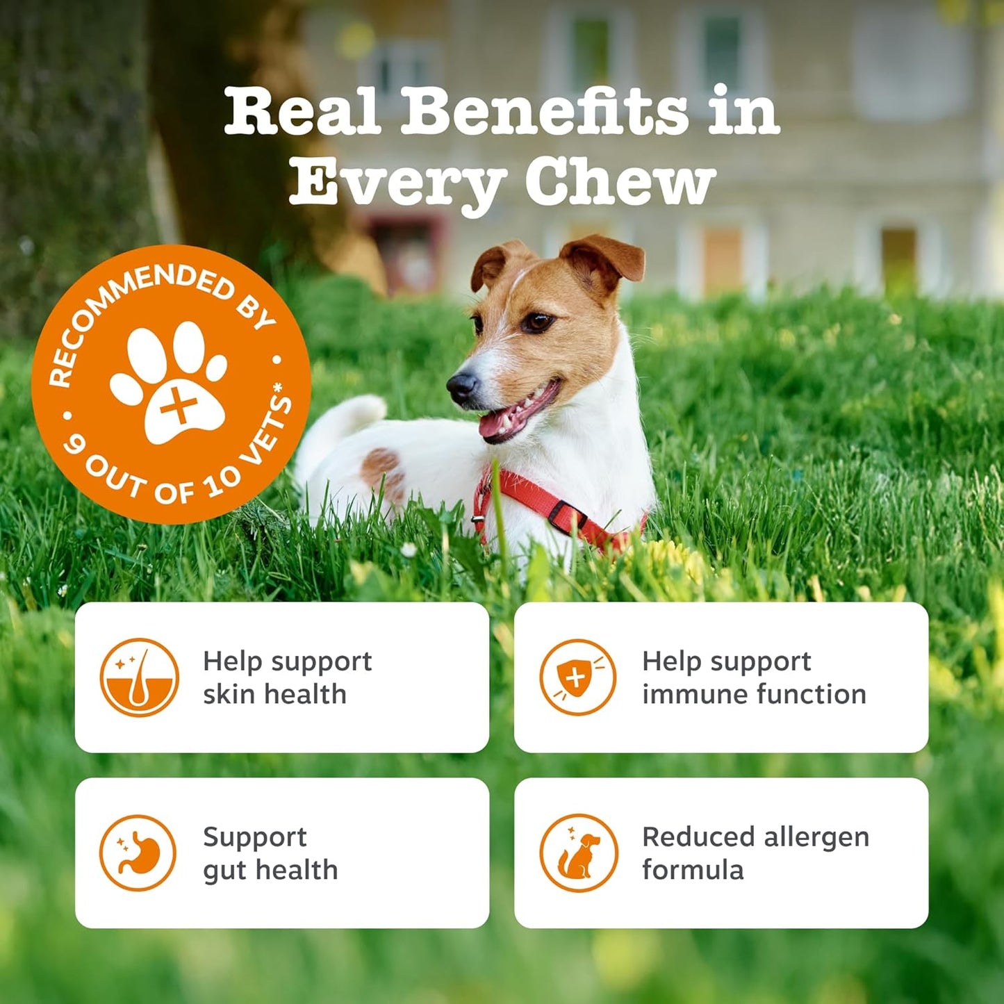Zesty Paws Aller-Immune Chews for Dogs | Supports Immune Function, Helps Gut, Skin & Coat Health, For Itchy, Dry Skin | Contains Salmon Oil, Prebiotics, Probiotics, Vitamin A | Daily Use | 60 Chews