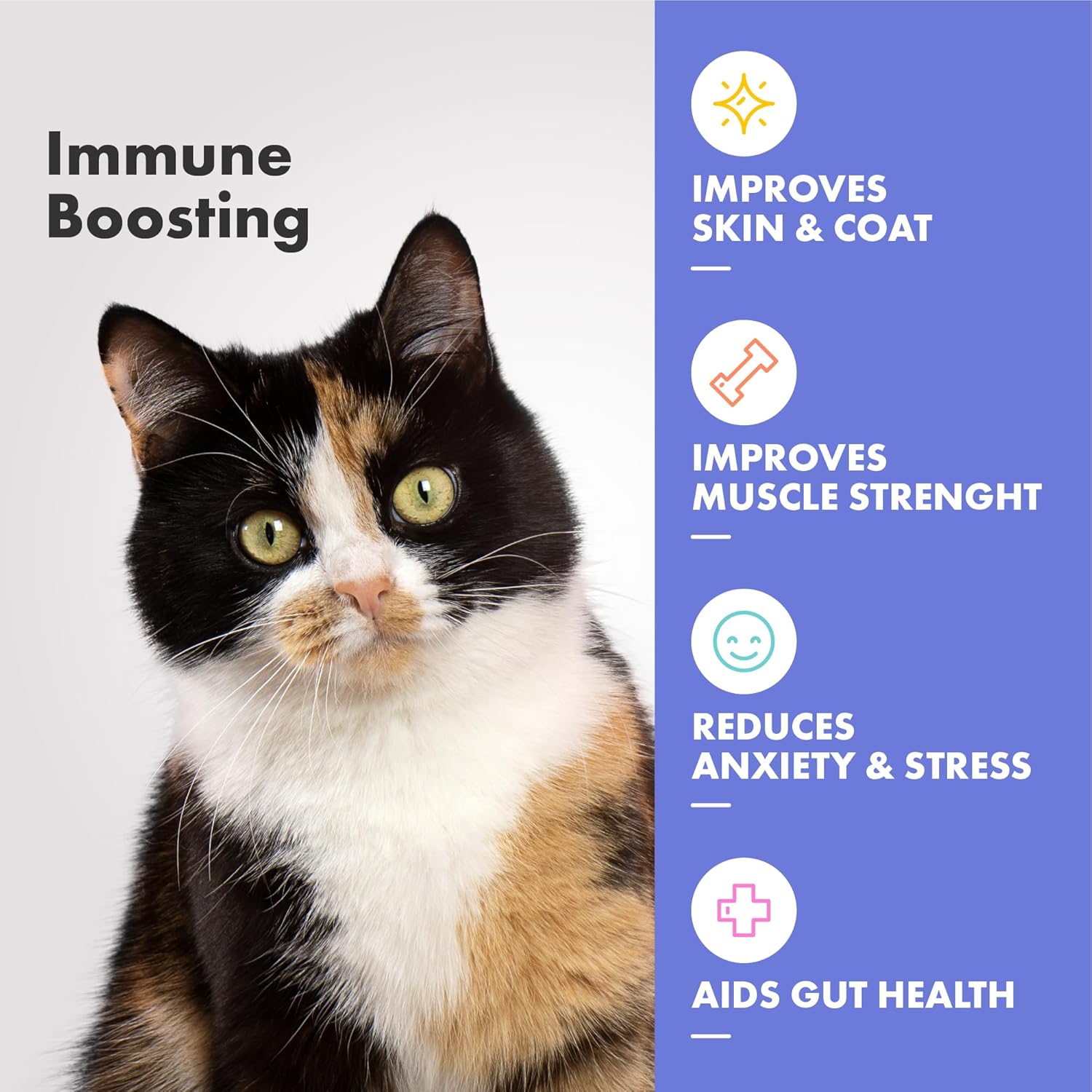 Multifit Crunchy Kibble Topper for Cats 75g - Plasma Superfood Supplement - Vet-Endorsed Daily Topper for Immunity, Gut Health & Vitality - With Collagen for Skin & Coat