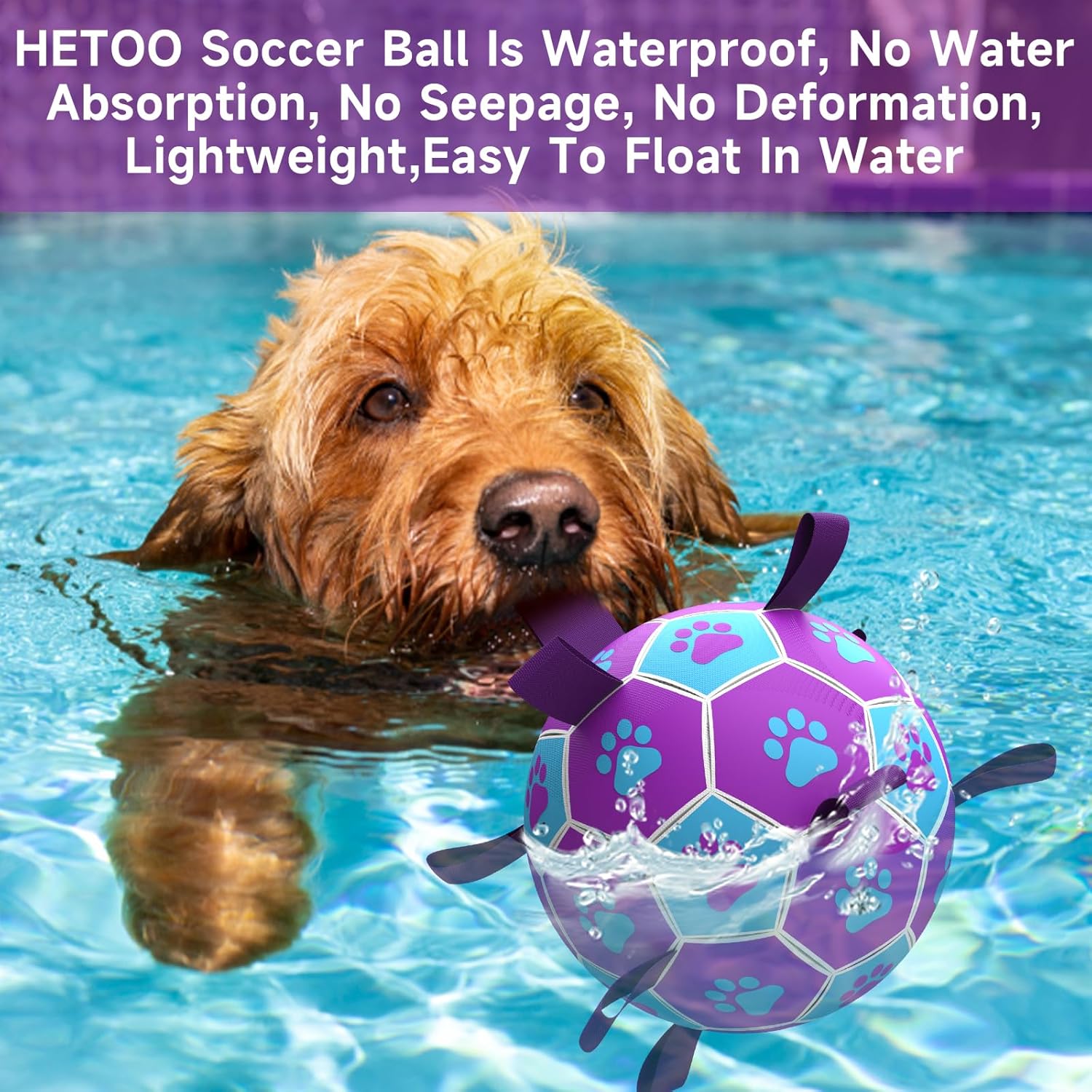 HETOO Dog Ball Toy Dog Football: Interactive Dog Balls with Webbing, Durable High Bounce Floating Dog Toys Balls for Dog Birthday Gifts Indoor & Outdoor Purple Blue Medium (6 Inch)