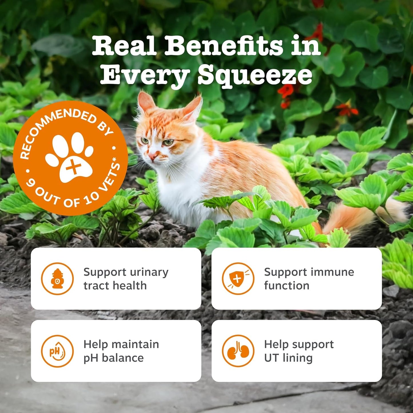 Zesty Paws Urinary & Renal Paste for Cats | Supports Urinary Tract & Kidney Function, Balance Urine pH Levels | Contains Cranberry Powder, D-Mannose, Vitamins B1, B6 & C| Real Fish Flavour | 75g