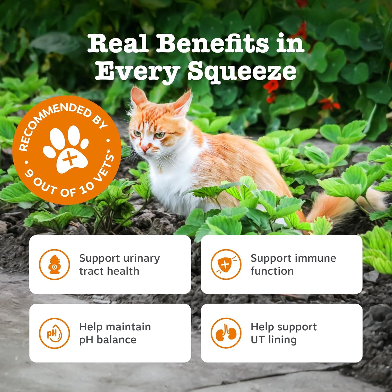 Zesty Paws Urinary & Renal Paste for Cats | Supports Urinary Tract & Kidney Function, Balance Urine pH Levels | Contains Cranberry Powder, D-Mannose, Vitamins B1, B6 & C| Real Fish Flavour | 75g